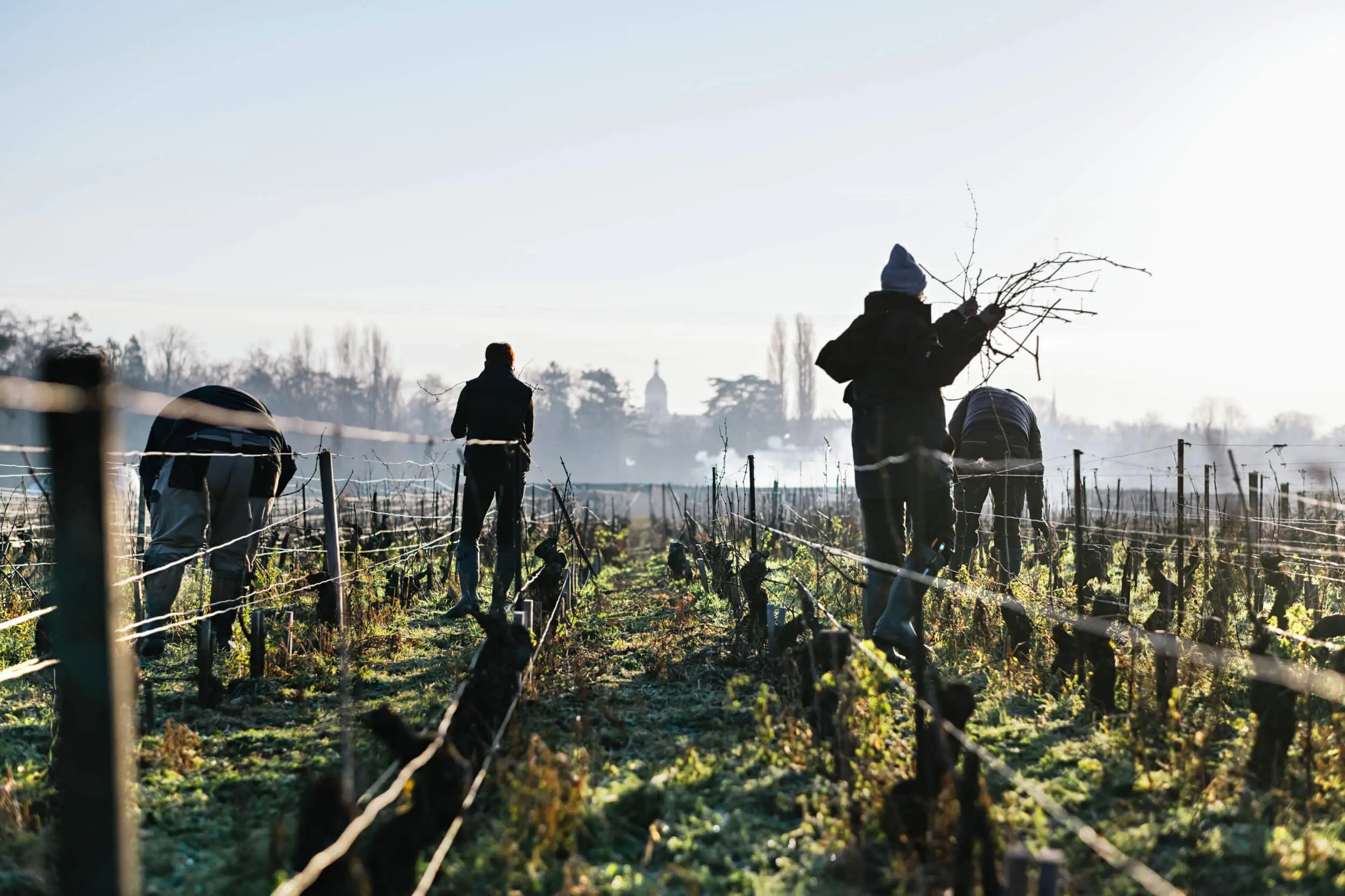 Spécialiste des terroirs - Domaine Chanson