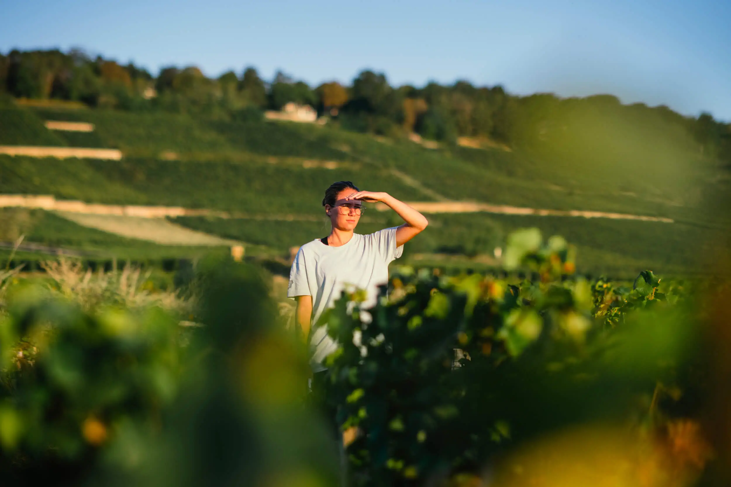 Notre équipe - Domaine Chanson