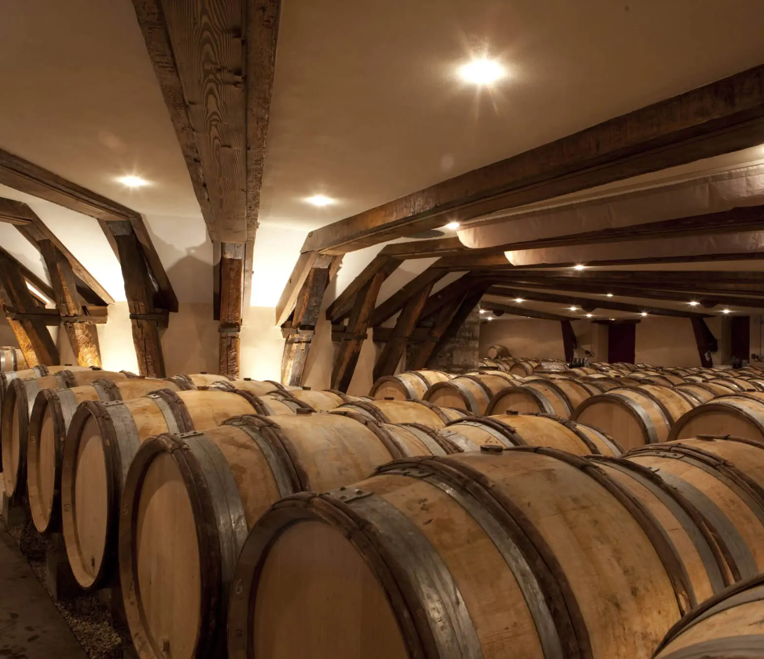 Domaine Chanson - Domaine Chanson