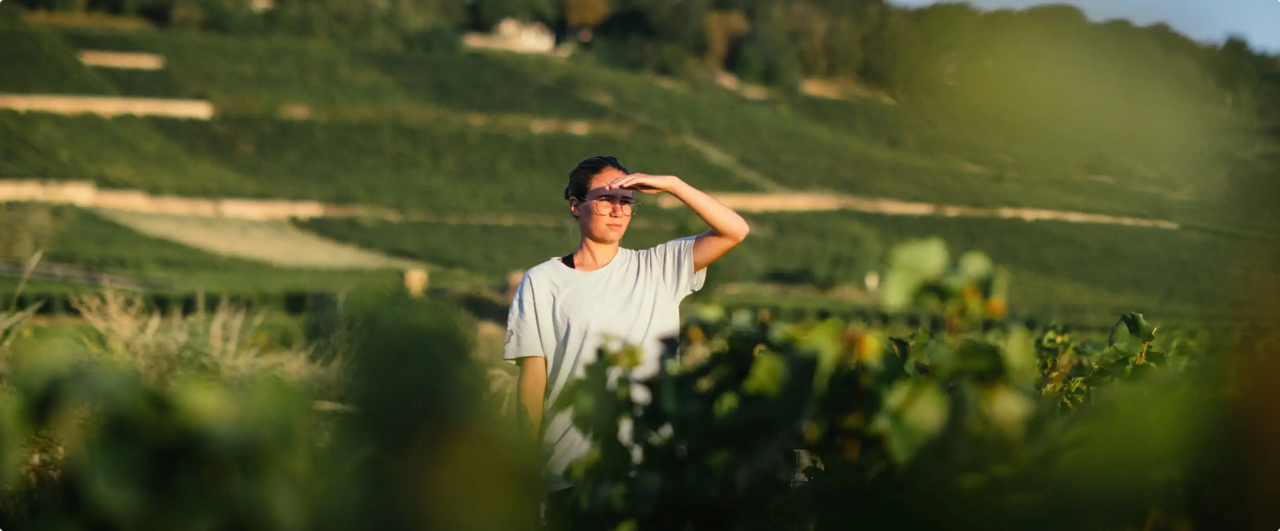 Liens - Domaine Chanson