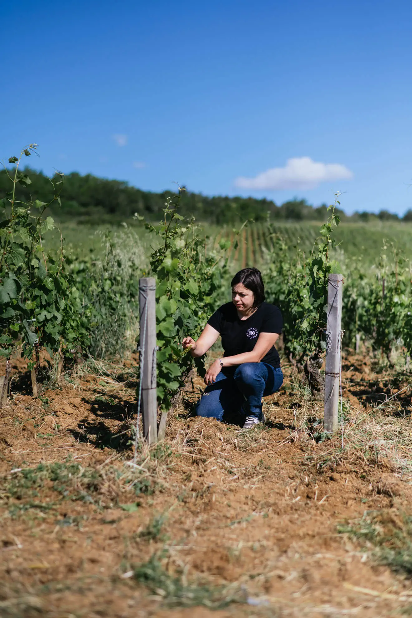Notre équipe - Domaine Chanson