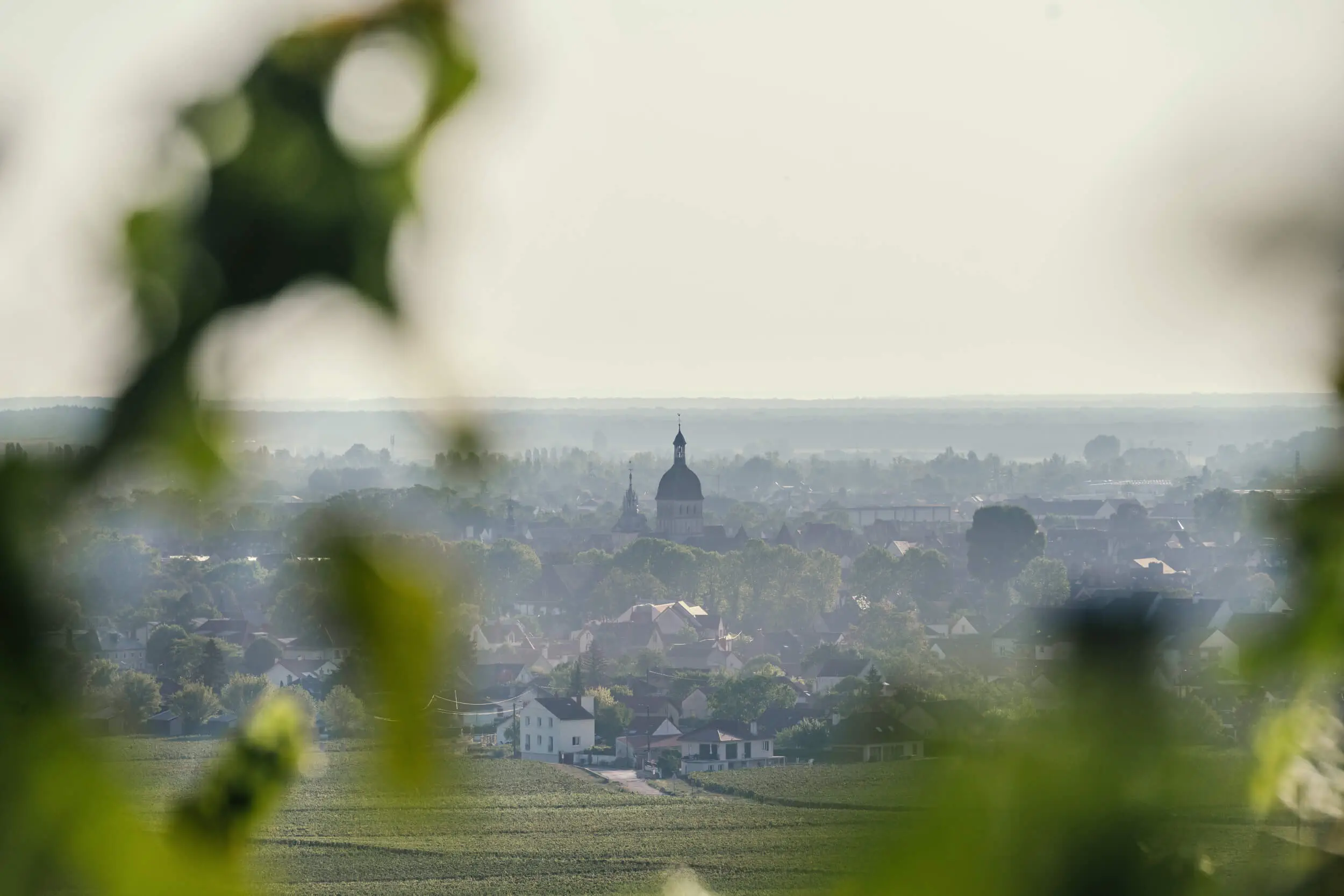 Spécialiste des terroirs - Domaine Chanson